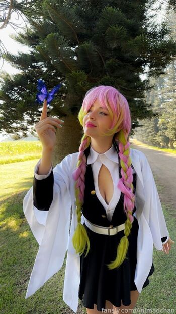 Animaechan