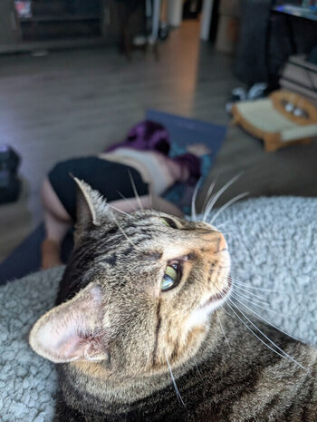Full leaked Kitty bit games private onlyfans photo